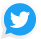 Twitter Icon
